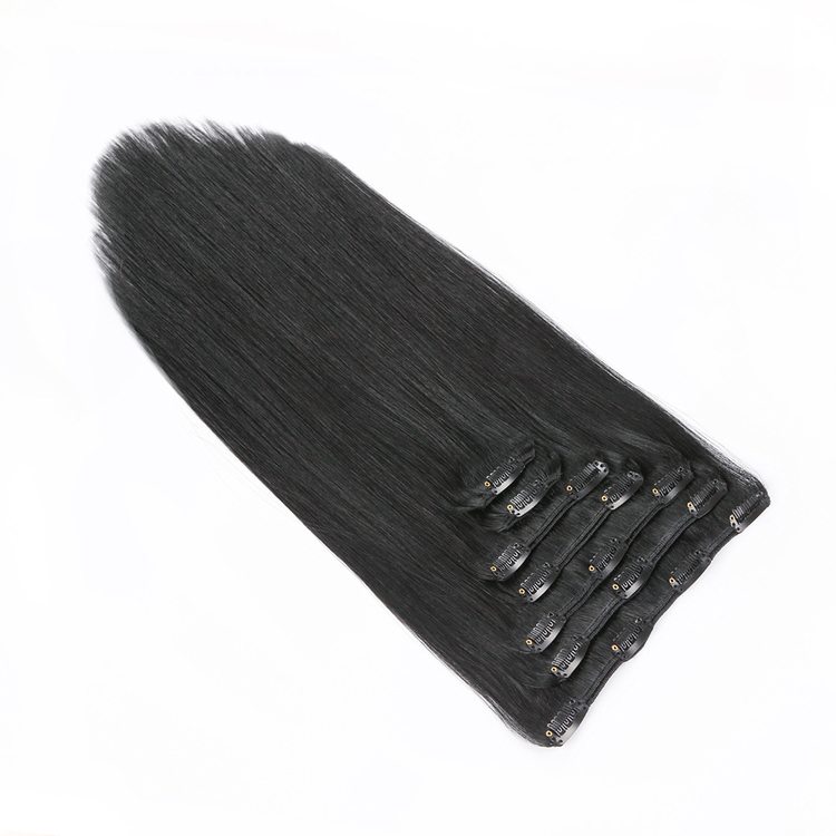 Jet Black(#1) Premium Straight Clip In Hair Extensions 7 Pieces