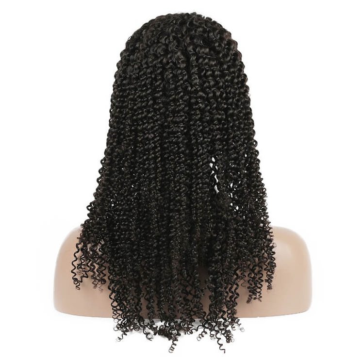 Kinky Curly Lace Front Wig 100% Virgin Human Hair - Zever Hair 3