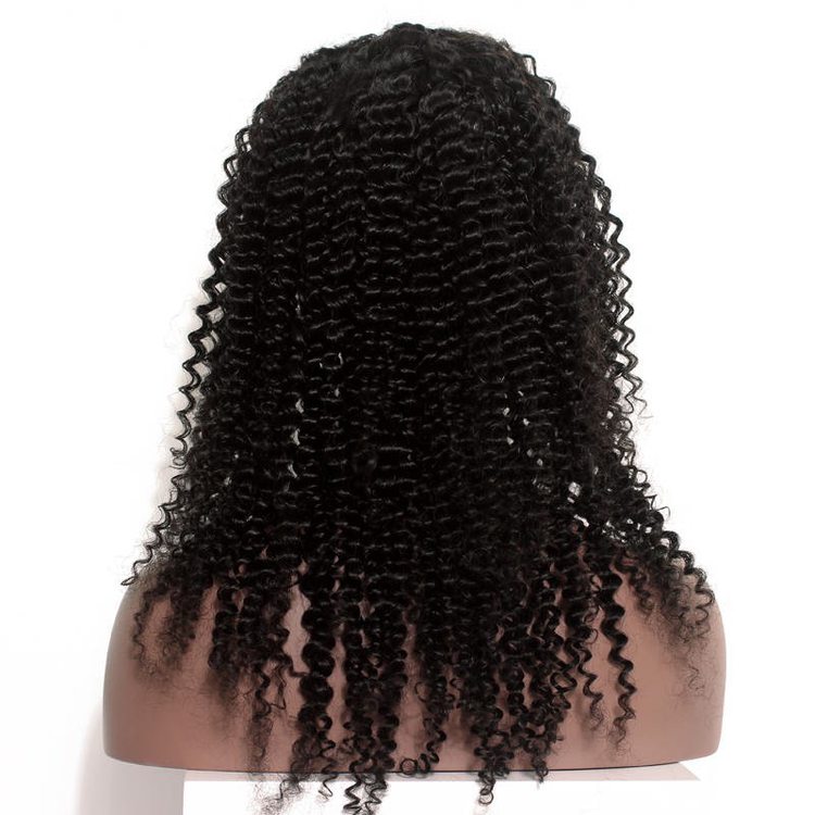 Curly Full Lace Human Hair Wig Smooth Like Silk - Zever Hair 2